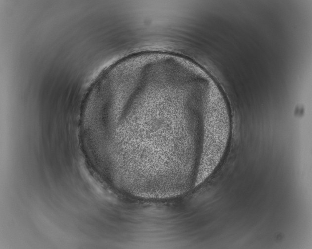 X0000112420434200909041416