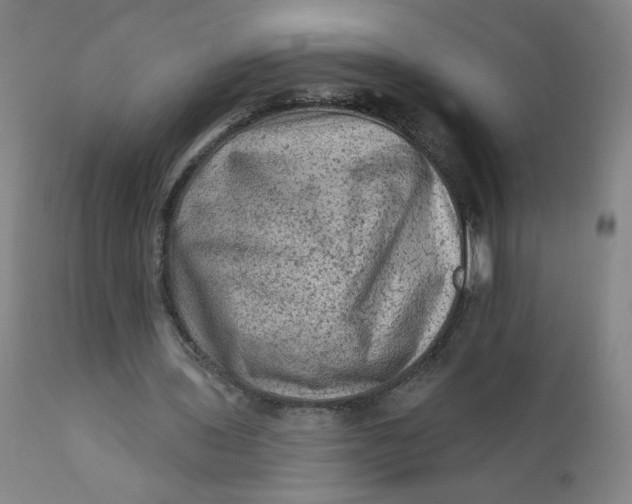 X0000112420435200909041416