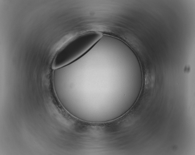 X0000112420436200909041416