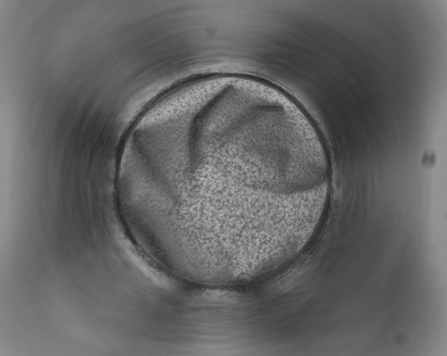 X0000112420437200909041416