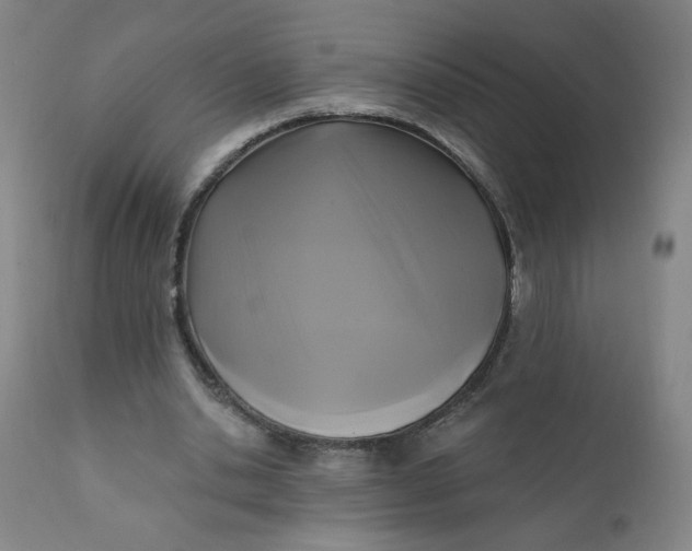 X0000112420438200909041416