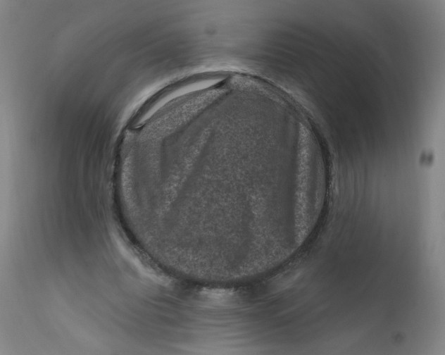 X0000112420440200909041416