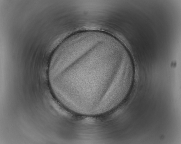 X0000112420441200909041416