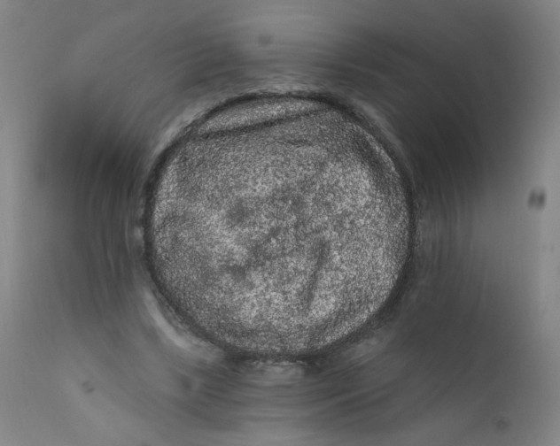 X0000112420443200909041416