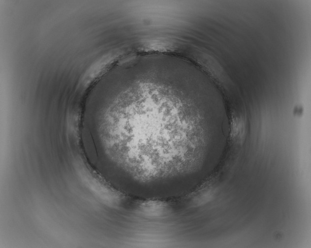 X0000112420444200909041416