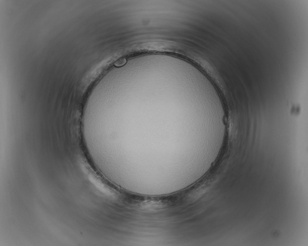 X0000112420445200909041416