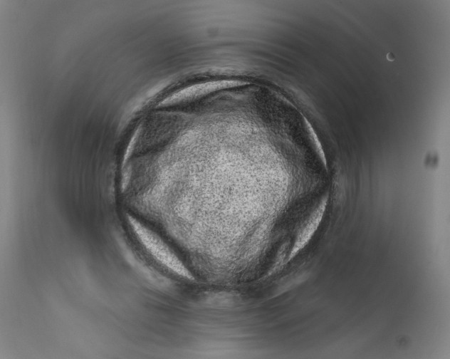 X0000112420446200909041416