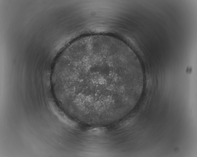 X0000112420447200909041416