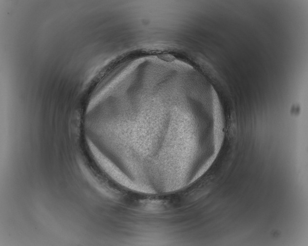 X0000112420448200909041416