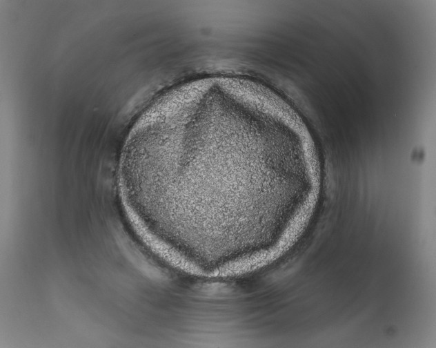 X0000112420449200909041416