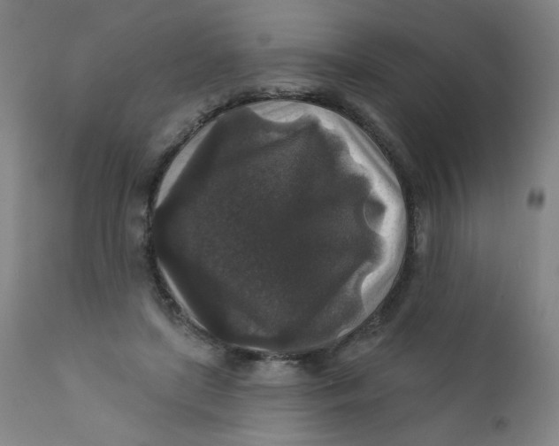 X0000112420451200909041416