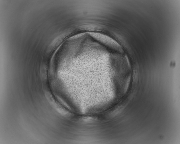 X0000112420453200909041416