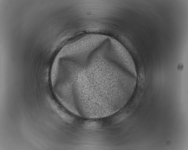 X0000112420454200909041416