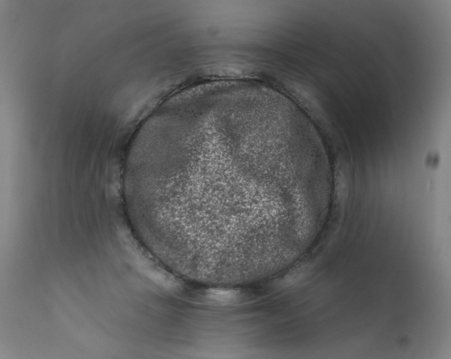 X0000112420457200909041416