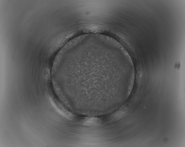 X0000112420459200909041416