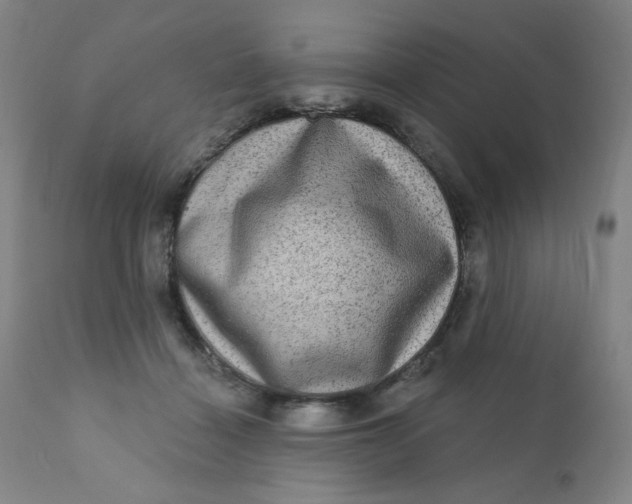 X0000112420460200909041416