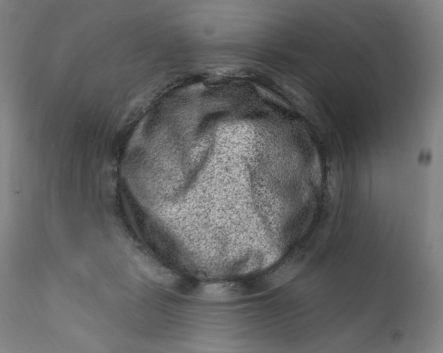 X0000112420461200909041416