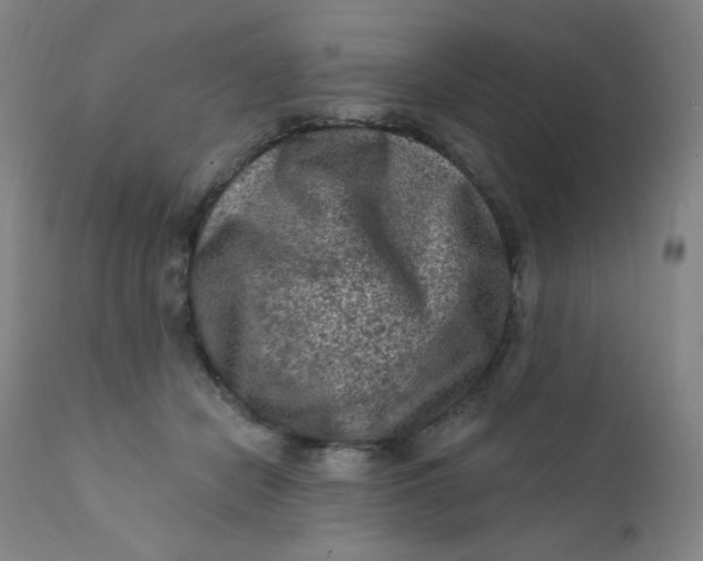 X0000112420462200909041416