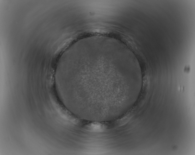 X0000112420464200909041416