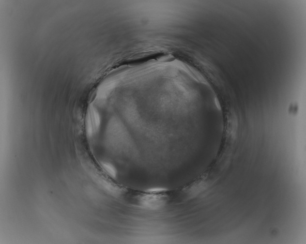 X0000112420465200909041416