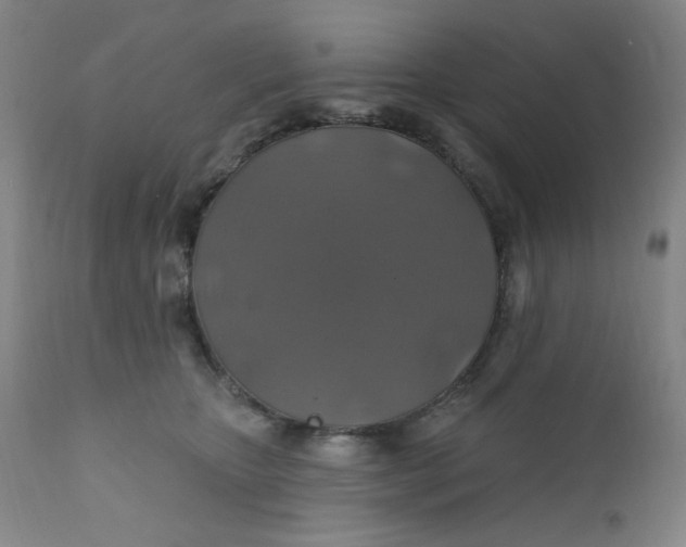 X0000112420467200909041416