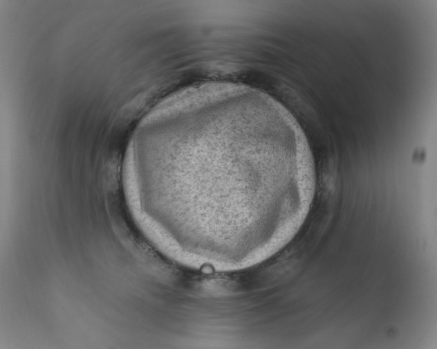 X0000112420468200909041416