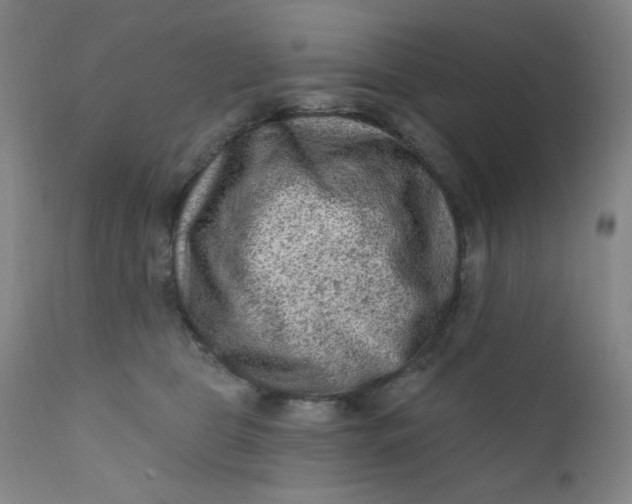 X0000112420469200909041416