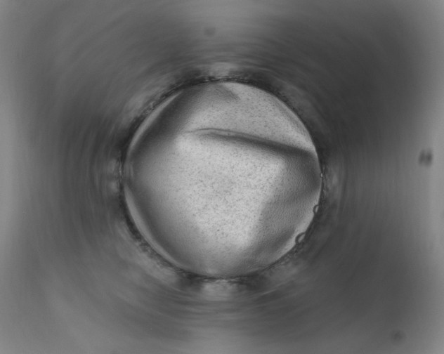 X0000112420470200909041416