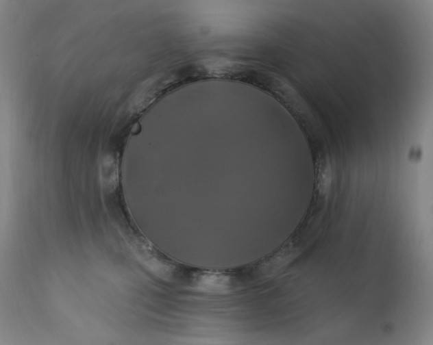 X0000112420471200909041416