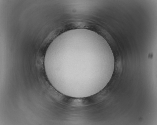 X0000112420473200909041416