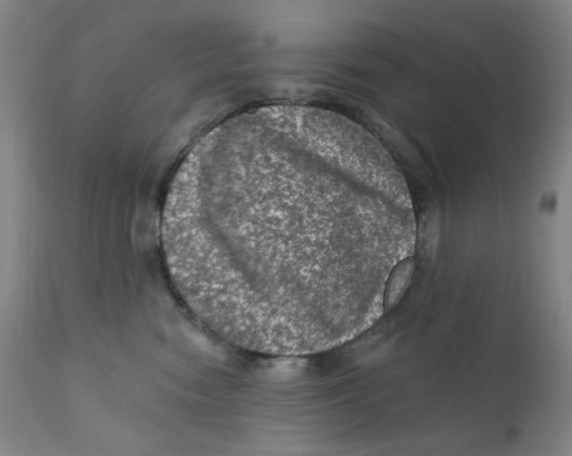 X0000112420474200909041416