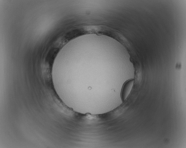 X0000112420477200909041416