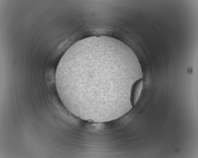 X0000112420478200909041416