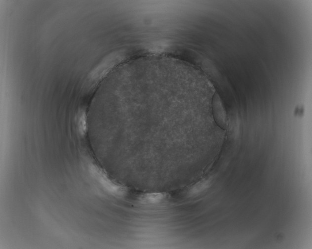 X0000112420479200909041416