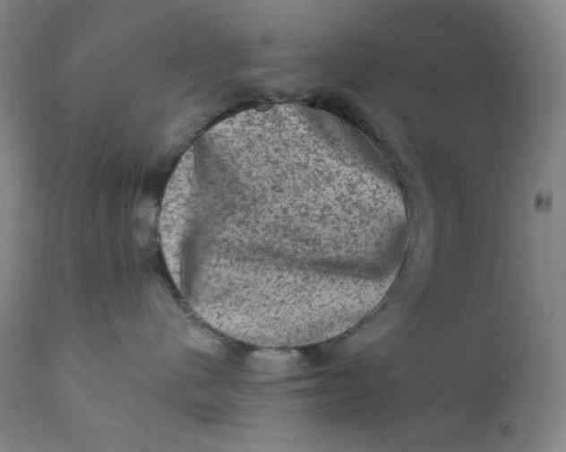 X0000112420480200909041416