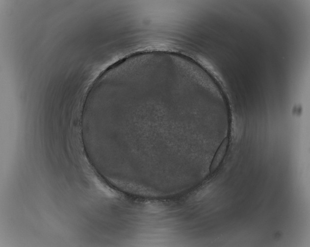 X0000112420481200909041416