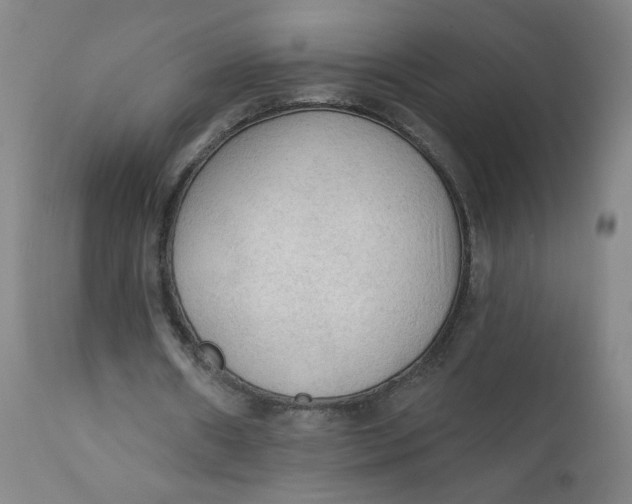 X0000112420482200909041416