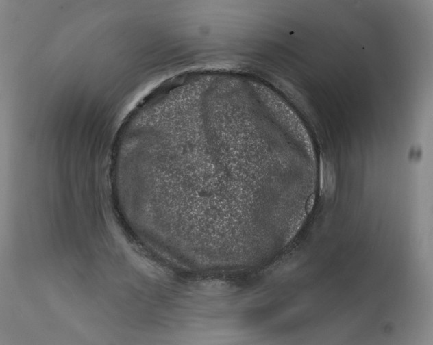 X0000112420483200909041416