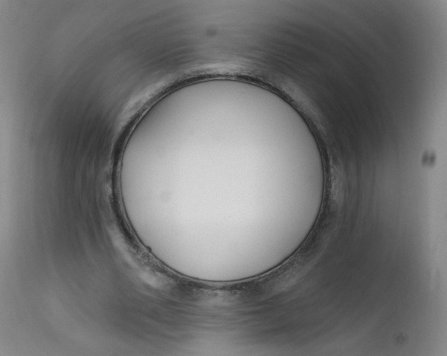 X0000112420486200909041415