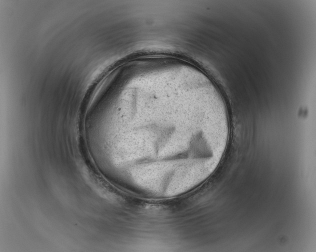 X0000112420487200909041415