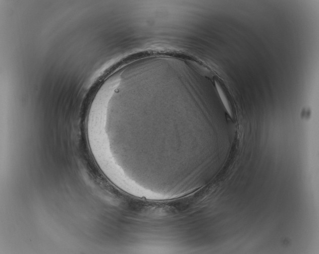 X0000112420488200909041415