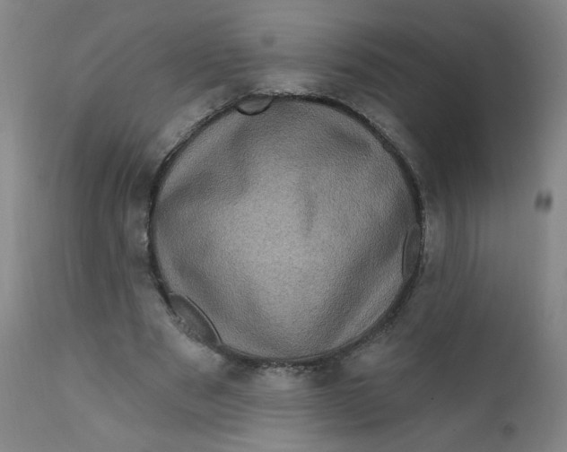 X0000112420489200909041415