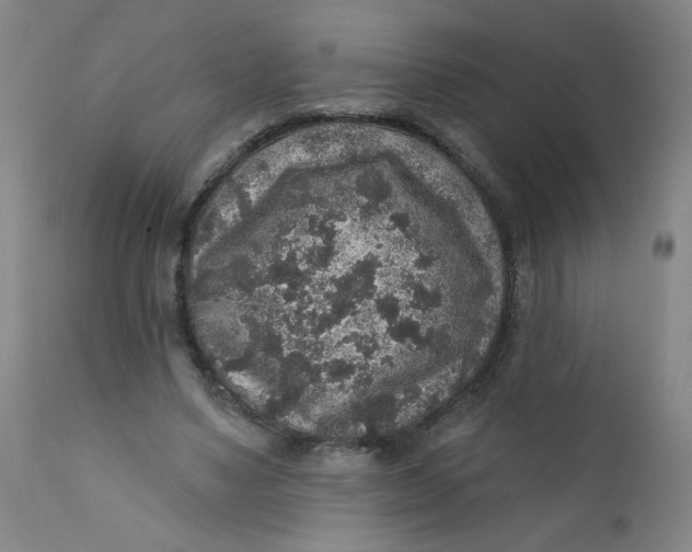 X0000112420491200909041415