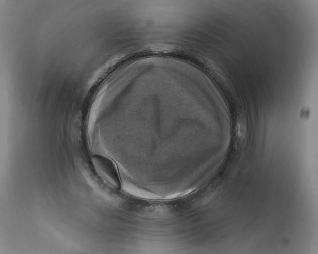 X0000112420492200909041415