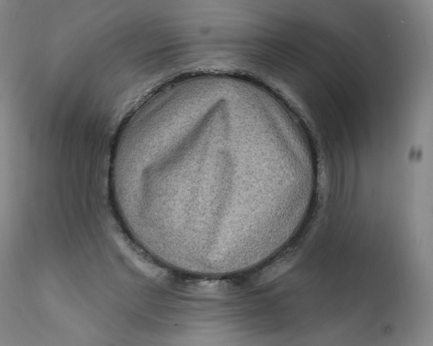 X0000112420493200909041415