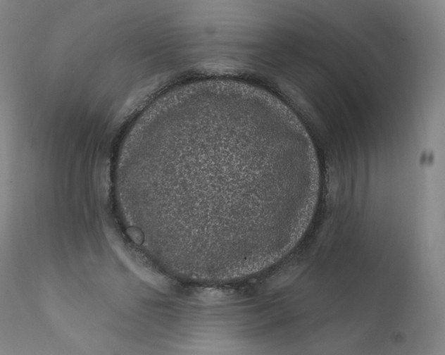 X0000112420494200909041415