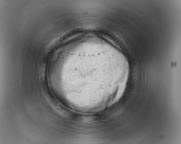 X0000112420495200909041415