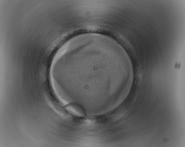 X0000112420496200909041415