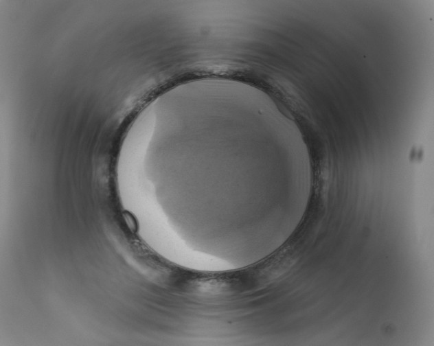 X0000112420500200909041415