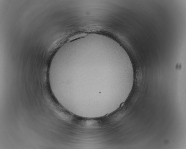 X0000112420501200909041415